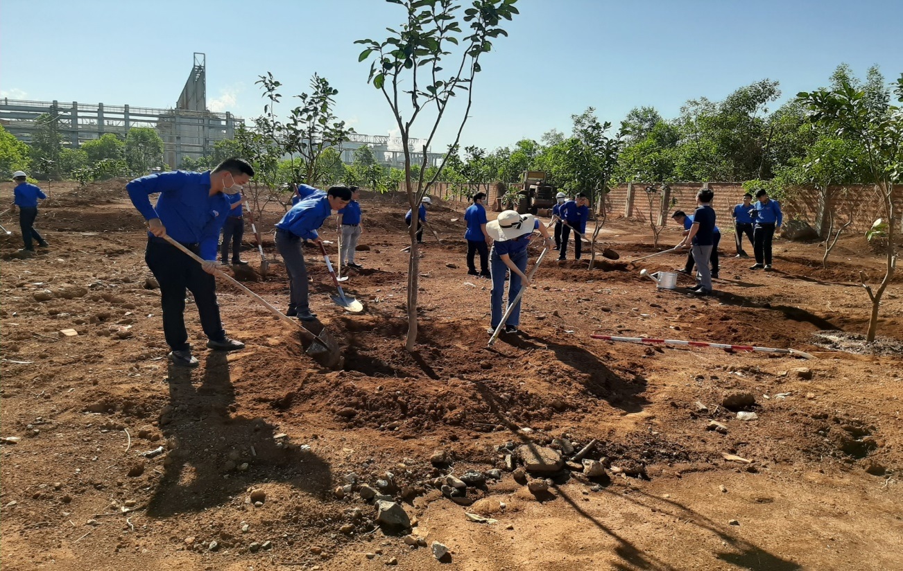 Đoàn Khối tổ chức gắn biển Công trình thanh niên chào mừng 90 năm Ngày thành lập Đoàn TNCS Hồ Chí Minh