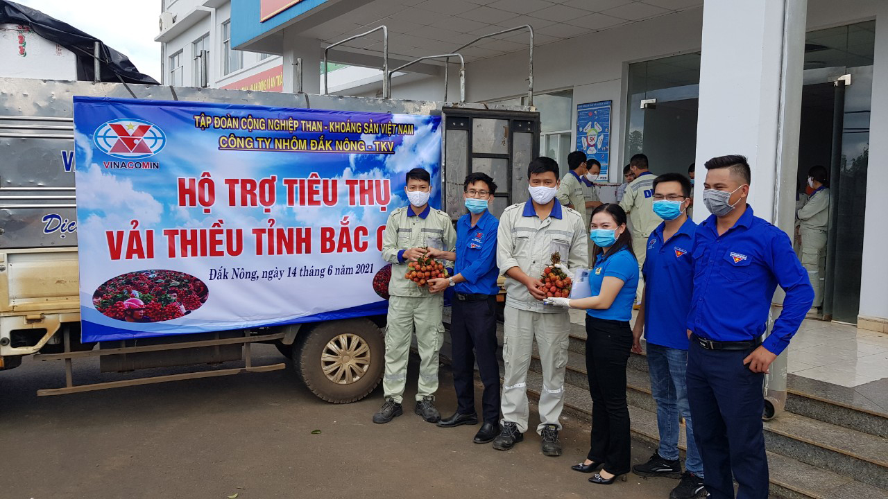 Công ty Nhôm Đắk Nông - TKV hỗ trợ tiêu thụ hơn 6 tấn vải thiều Bắc Giang